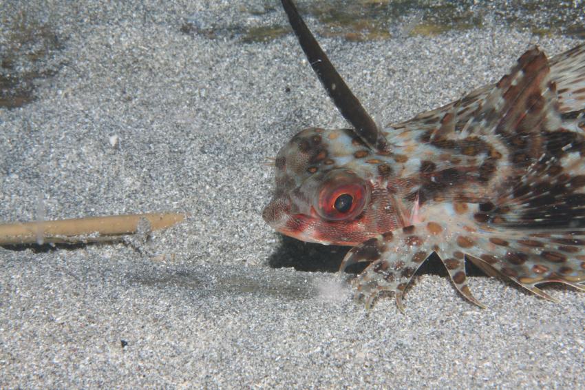 Bunaken Marine Park