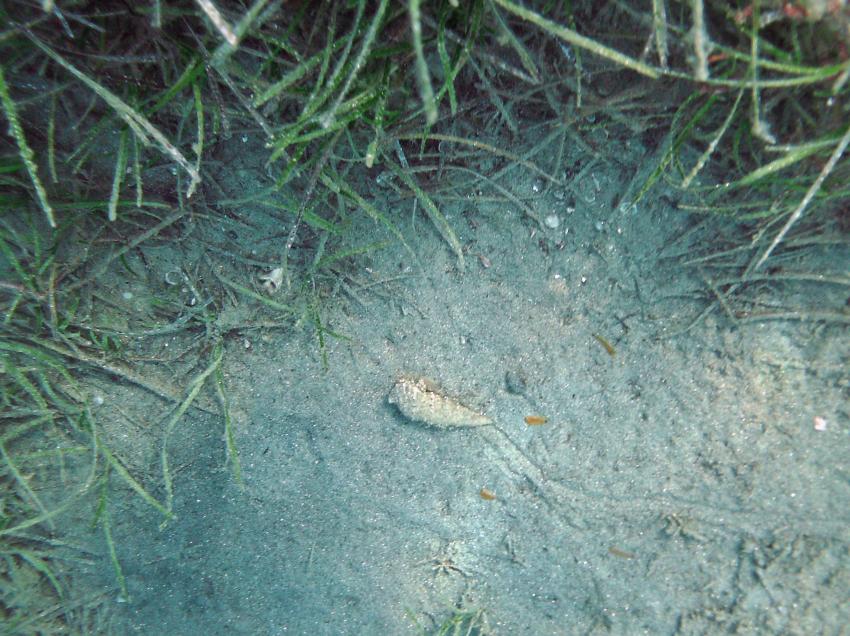 Halkidiki - Athos, Halkidiki - Athos,Griechenland
