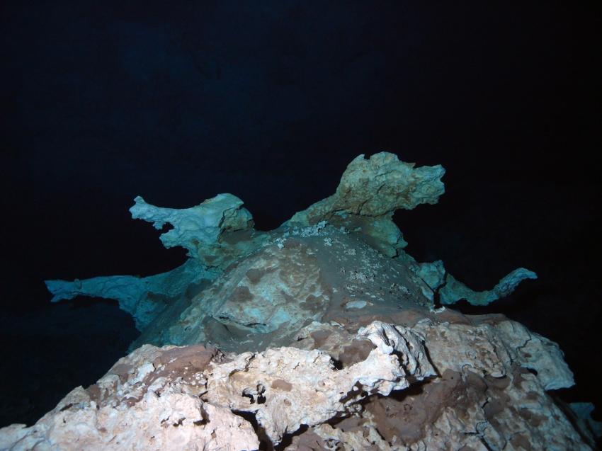 Cenoten von Angelita bis Zapote, Cenoten gemischt (Cenoten Playa del Carmen,Tulum und Meer),Mexiko,Siamesische Hunde,Formation,Cenote,Höhle