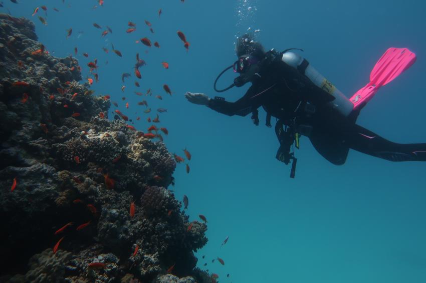 Scuba World Divers Makadi Bay, Ägypten, Hurghada