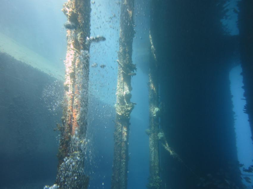 Unter einem Bohrschiff (Tug Boat Beach), Central Dive Curaçao, Niederländische Antillen, Curaçao