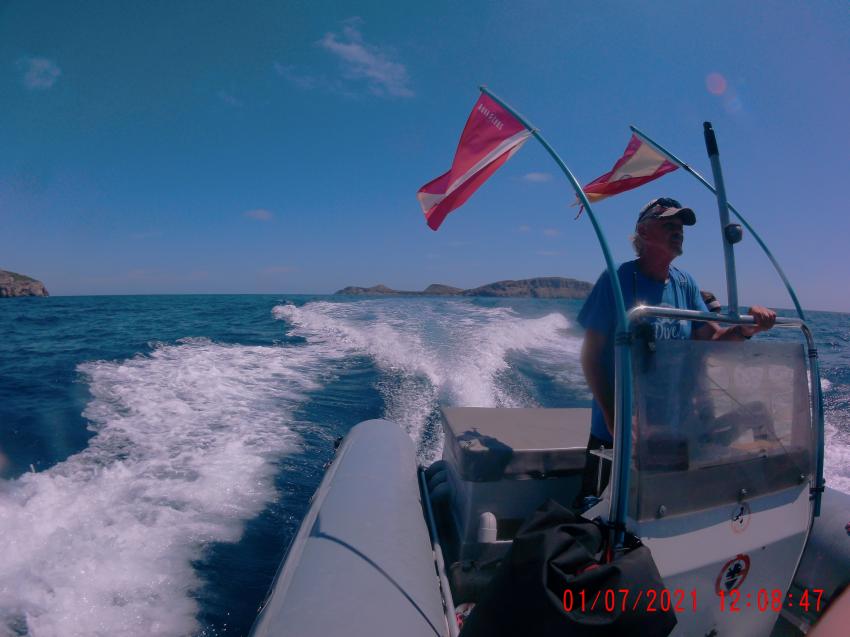 Jogi volle Fahrt voraus, Diving Center, Cala Pada, Ibiza, Spanien, Balearen