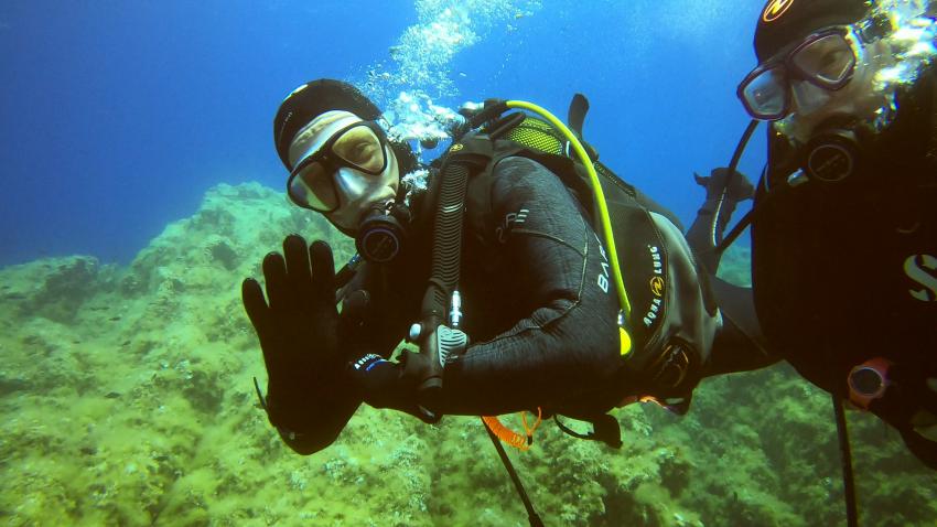 Diving Calvi a Piaghja (Korsika), Frankreich
