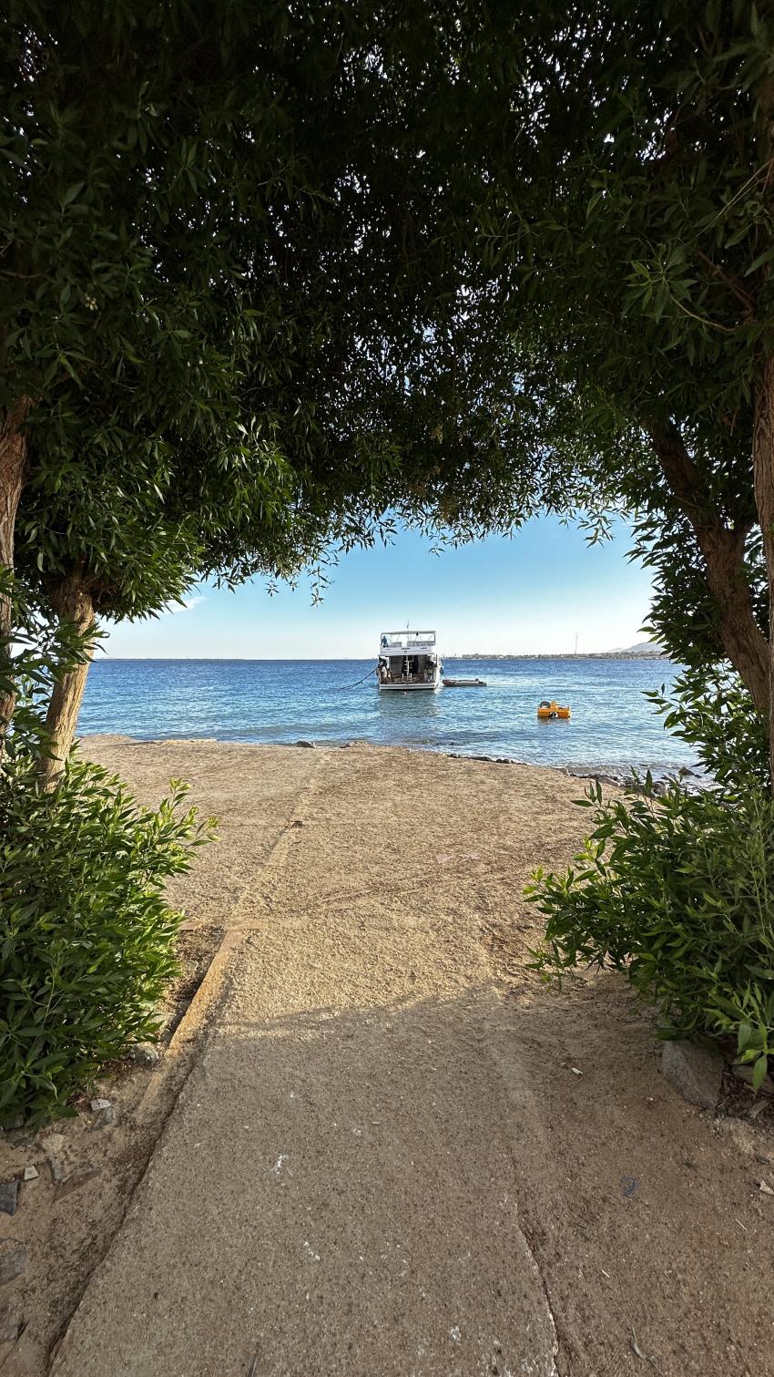 Tauchen Ägypten Blick auf den alten Steg, Tauchen Ägypten Safaga Volkert Dive Center, Safaga Paradise Divers, Ägypten, Safaga