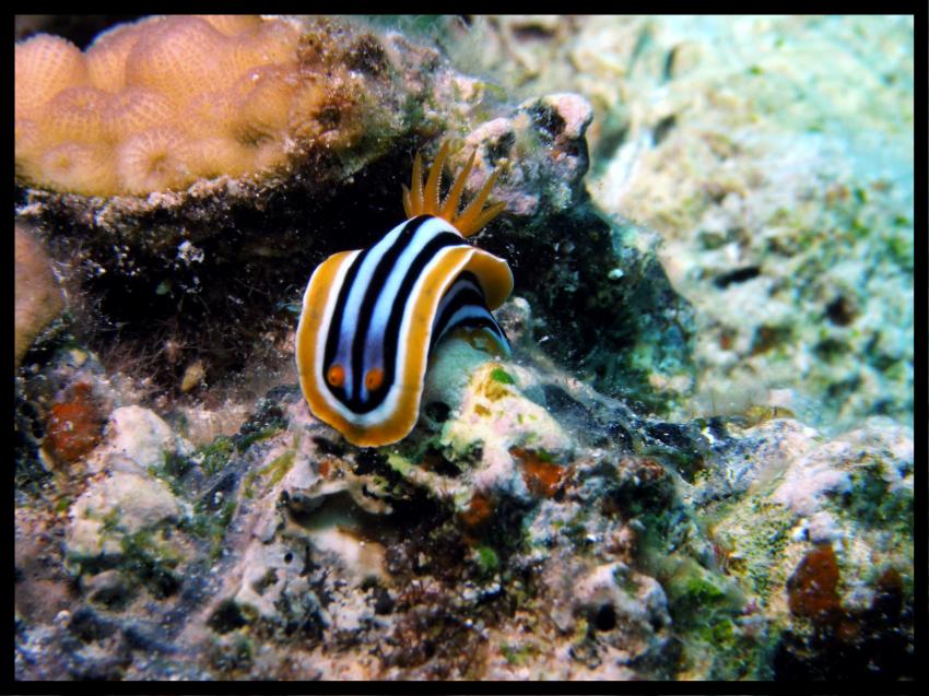 diverse Spots bei Dahab