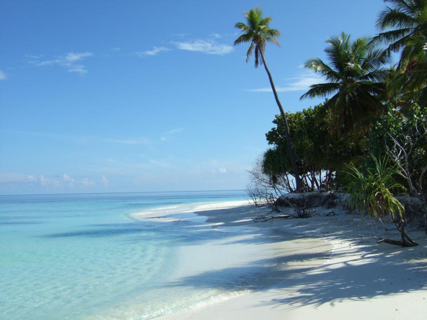 Angaga / Ari Atoll, Angaga / Ari Atoll,Malediven,Strand,Palmen,Insel