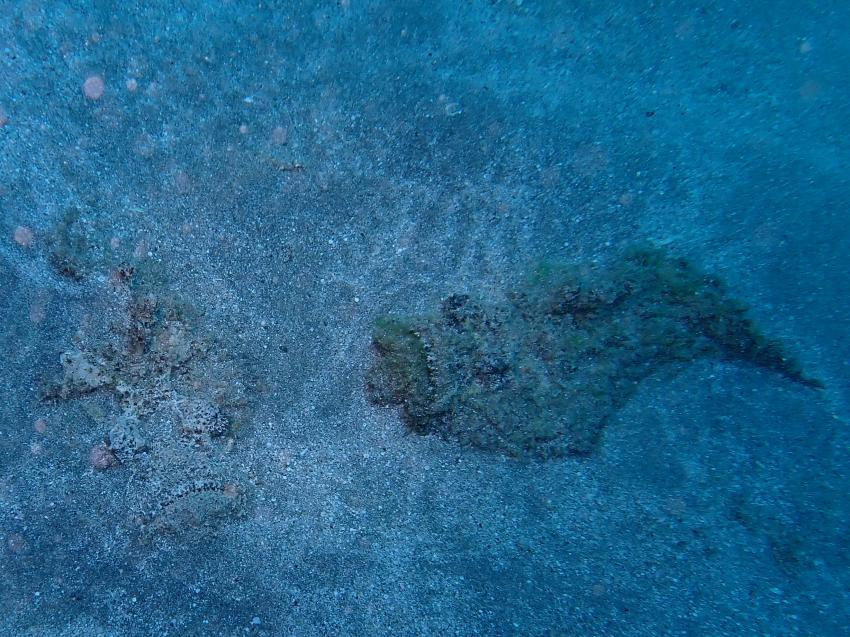 Atlantik Diving Center, Ägypten, El Quseir bis Port Ghalib