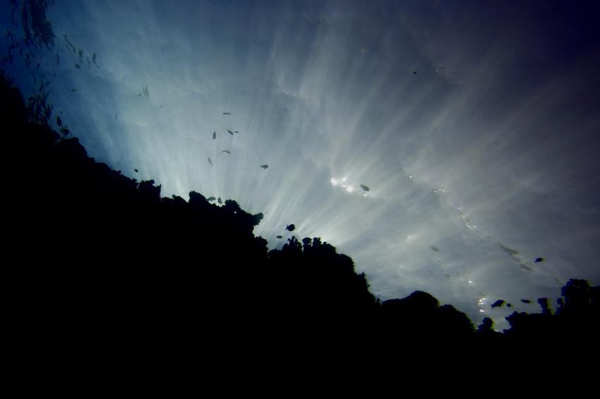 Ducks Diving Quesier at Rohanou Beach Resort, Ägypten, El Quseir bis Port Ghalib