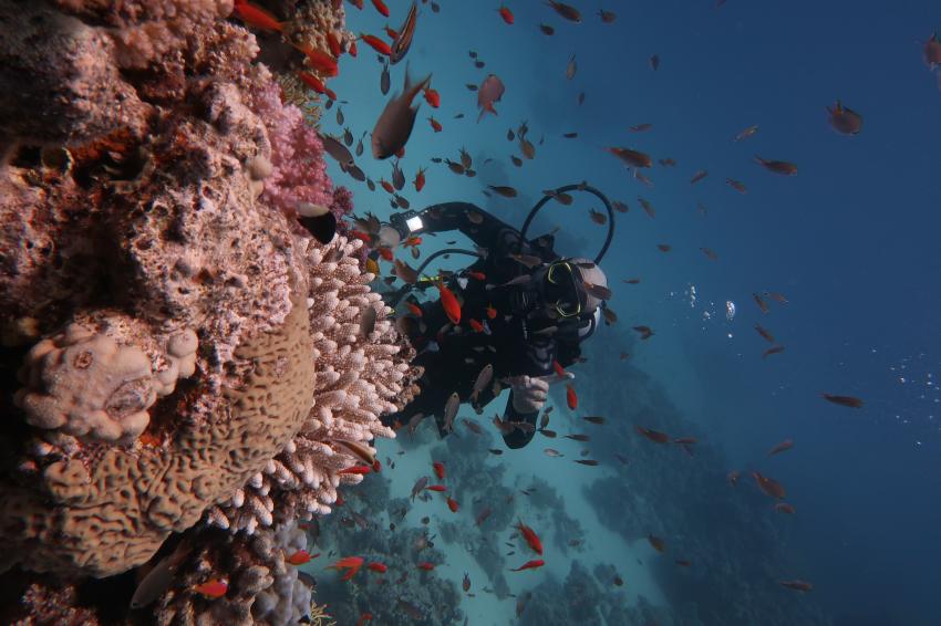 Scuba World Divers Makadi Bay, Ägypten, Hurghada