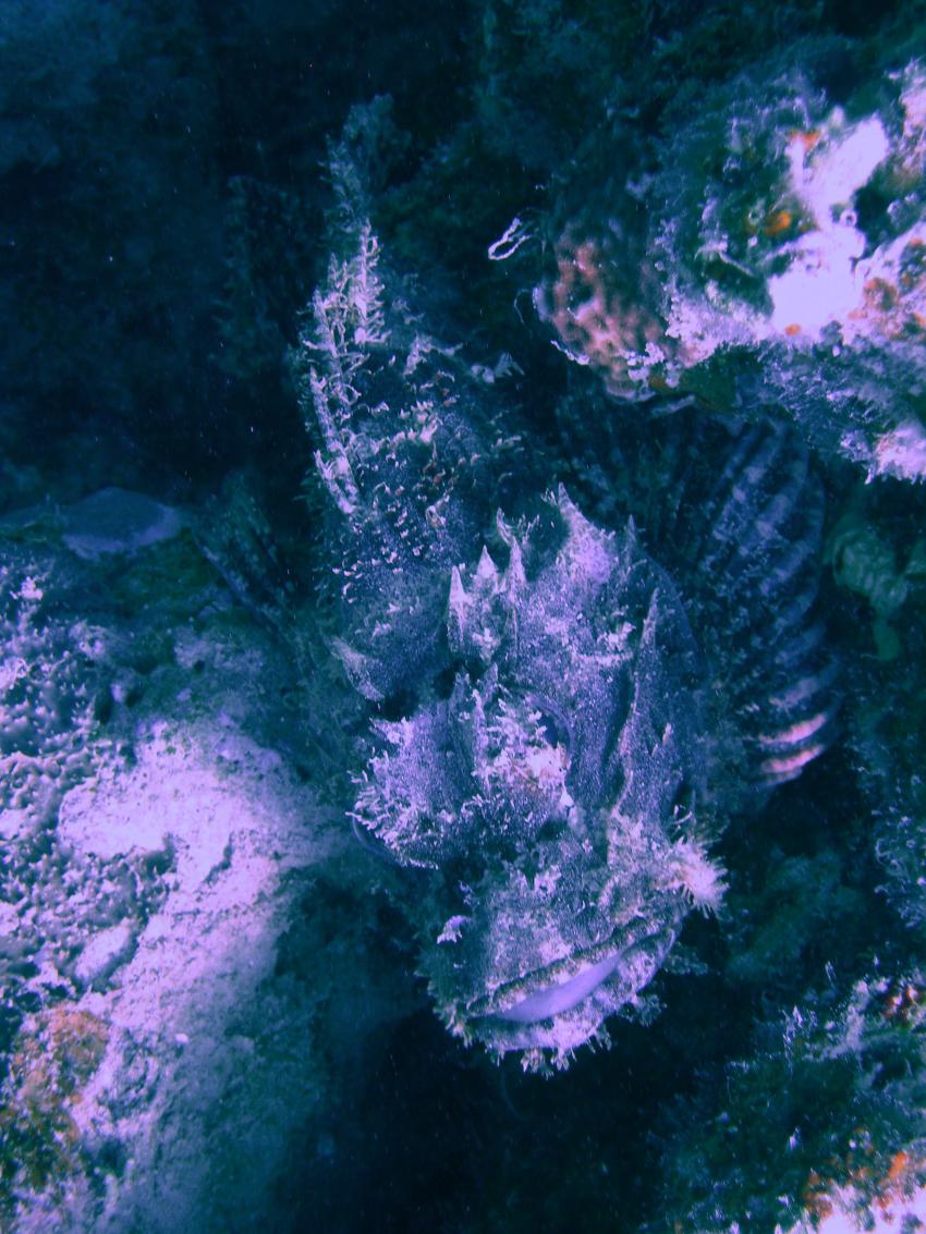 Brayka Bay, Brayka Bay,Ägypten