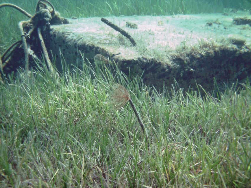 Halkidiki - Athos, Halkidiki - Athos,Griechenland