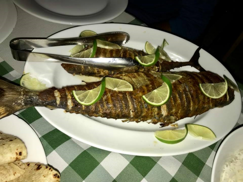 Ein frischer Fisch vom Grill - echt lecker, Dive Rasdhoo, Malediven