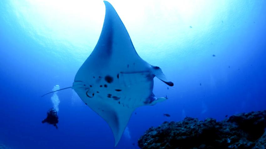 Uchizan / Seasir, Uchizan, Japan, Okinawa