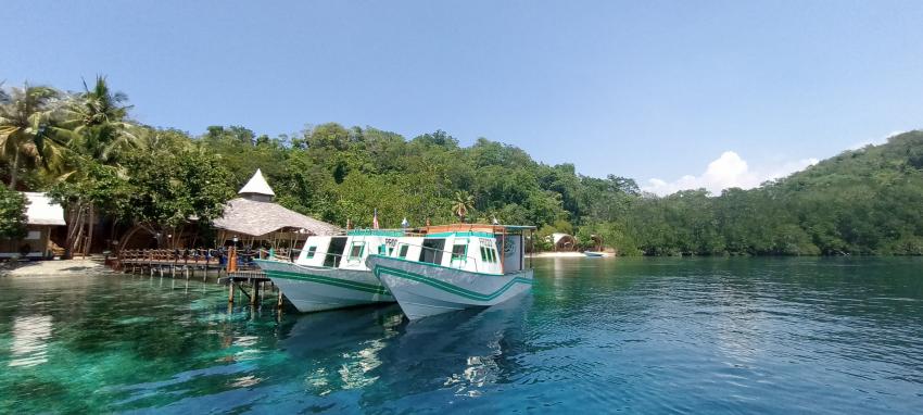 Diving Boats, Proco Dive boats, Proco Island Bambu Resort, Indonesien, Allgemein