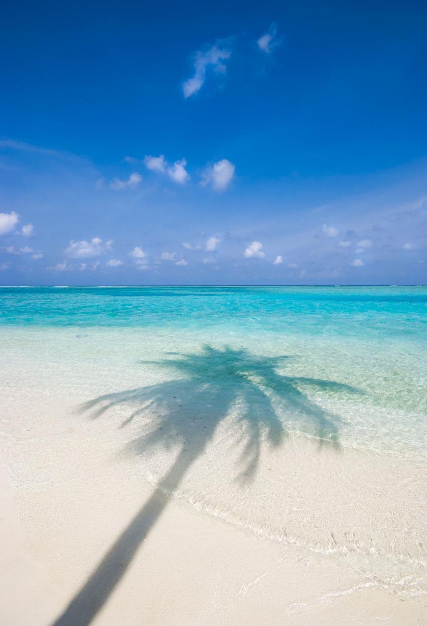 Fenfushi, Dive Shop Maldives, Fenfushi, Malediven