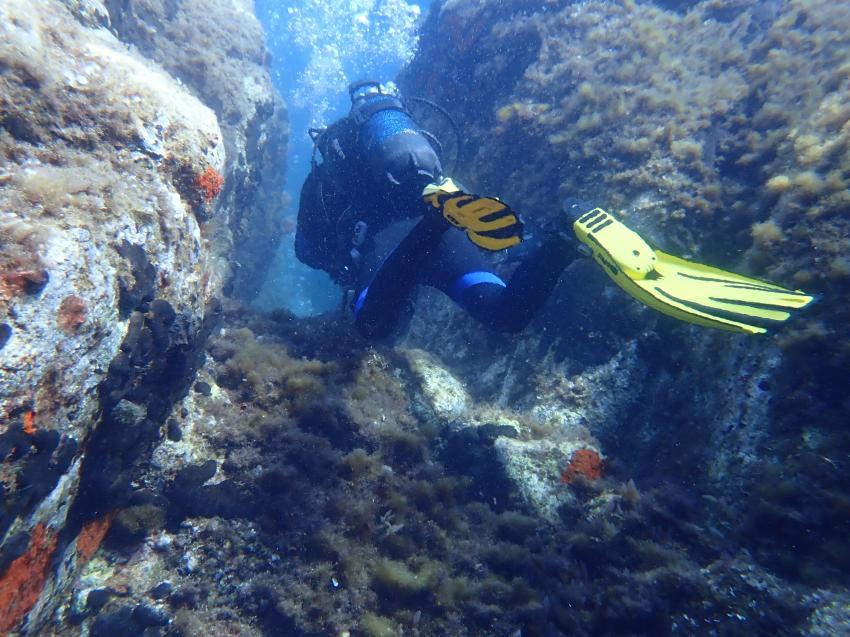 Dolphin Diving Center, Kalamitsi, Griechenland